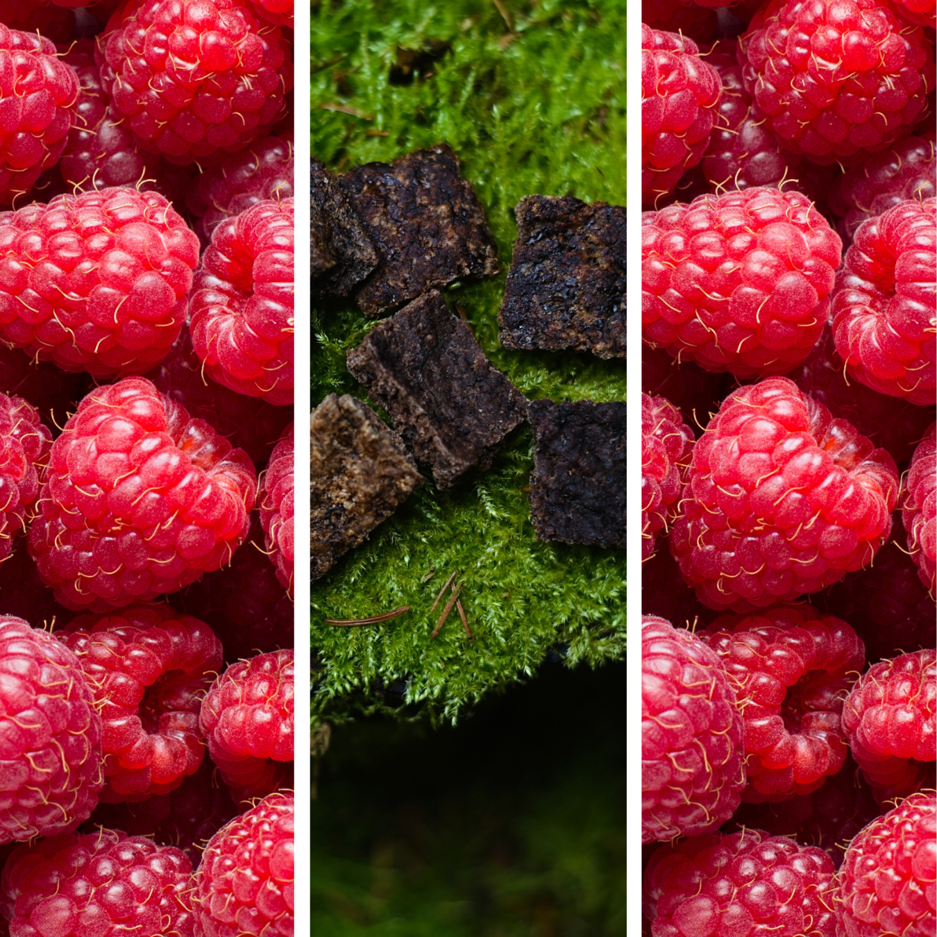 Ciastka z Sarny + Malina