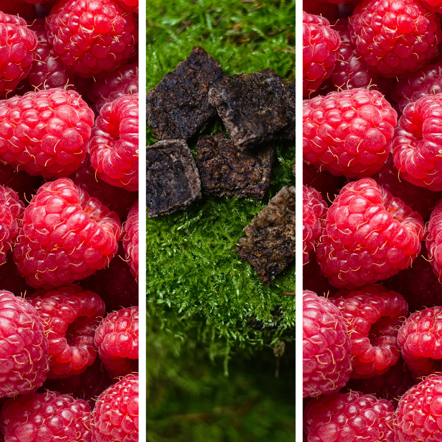 Ciastka Jelenina + Malina