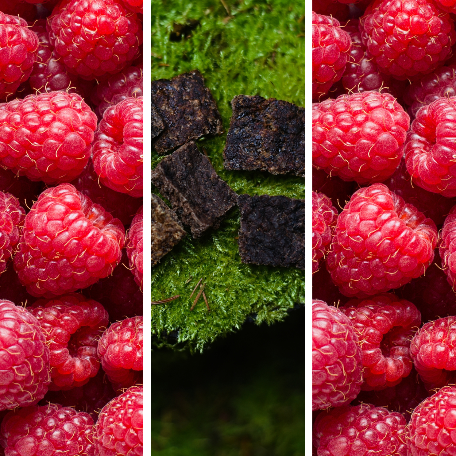 Ciastka z Baraniny + Malina