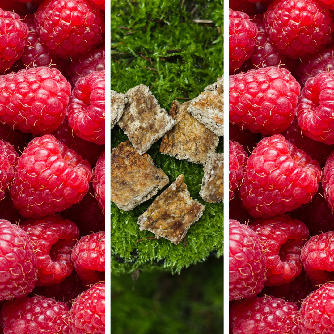 Ciastka Wieprzowe + Malina