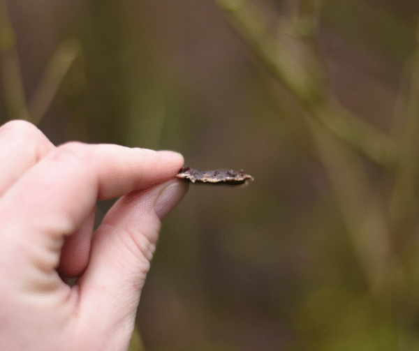 Projekt bez nazwy(4)