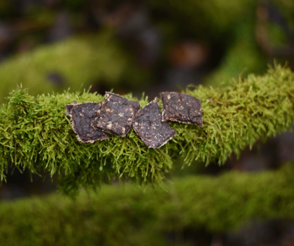 Projekt bez nazwy(5)